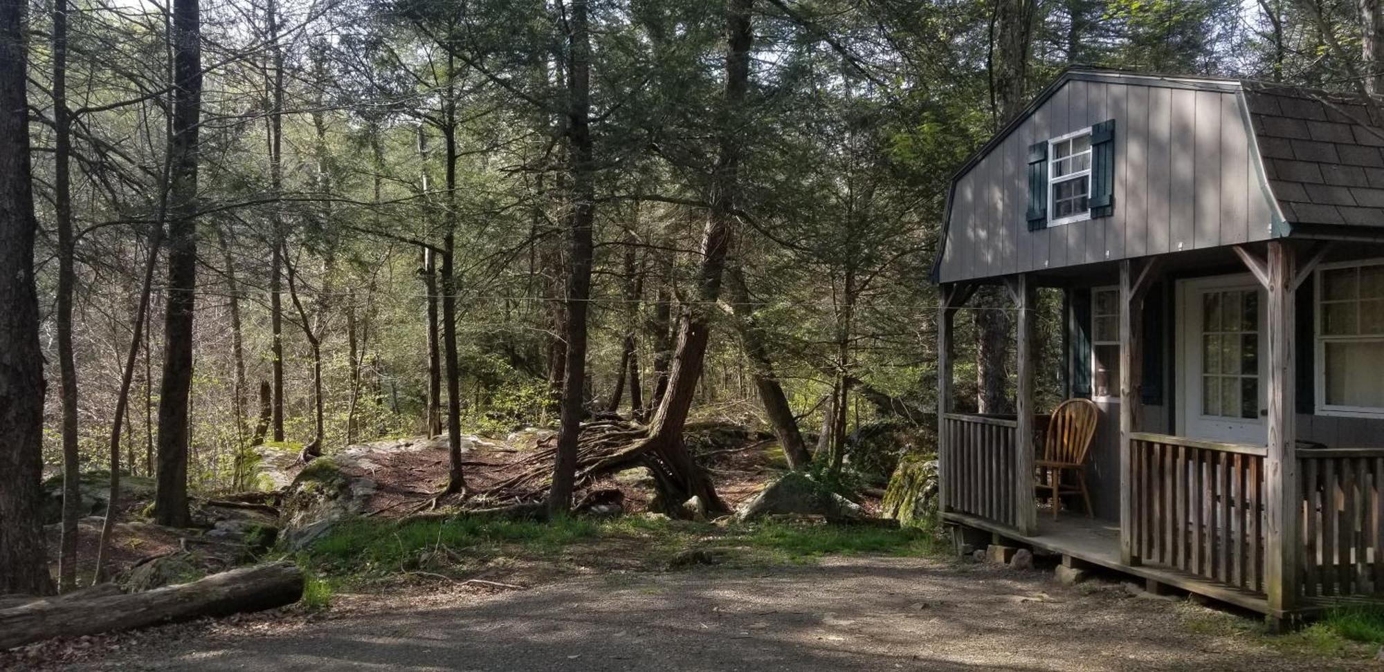 Abrams Creek Campground Mount Storm Bagian luar foto
