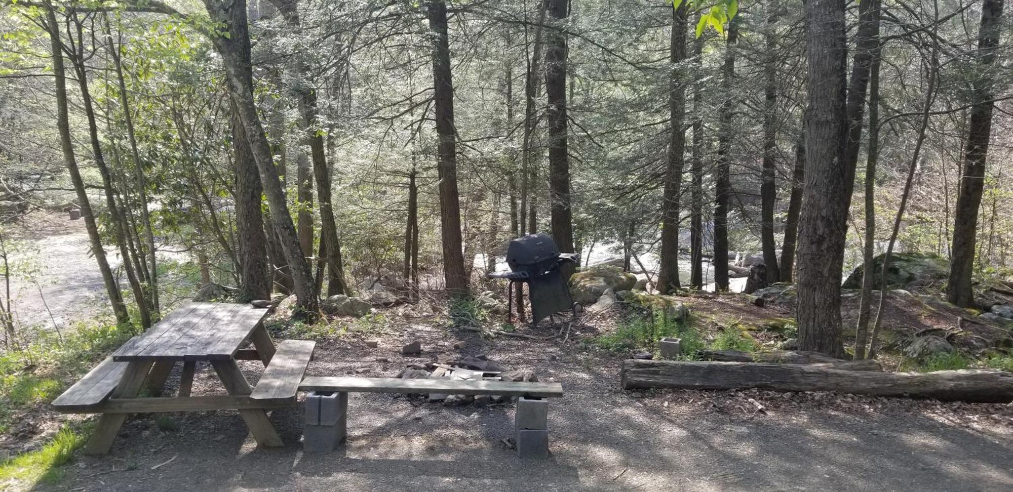 Abrams Creek Campground Mount Storm Bagian luar foto
