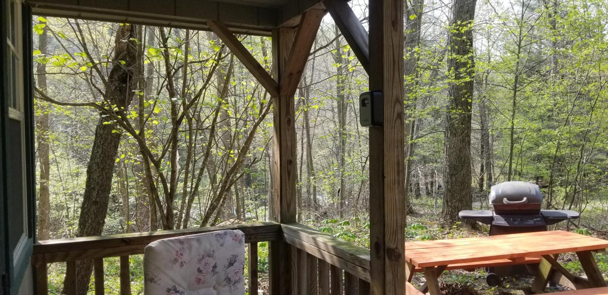 Abrams Creek Campground Mount Storm Bagian luar foto