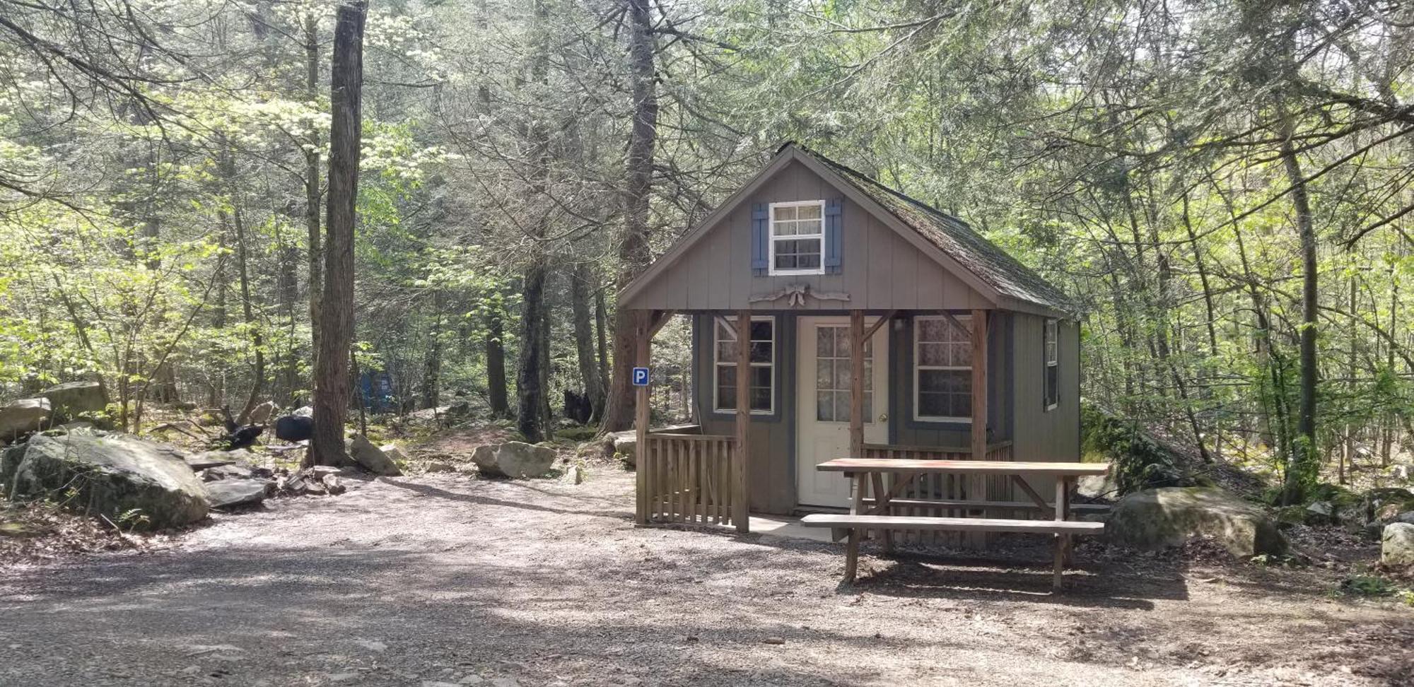Abrams Creek Campground Mount Storm Bagian luar foto