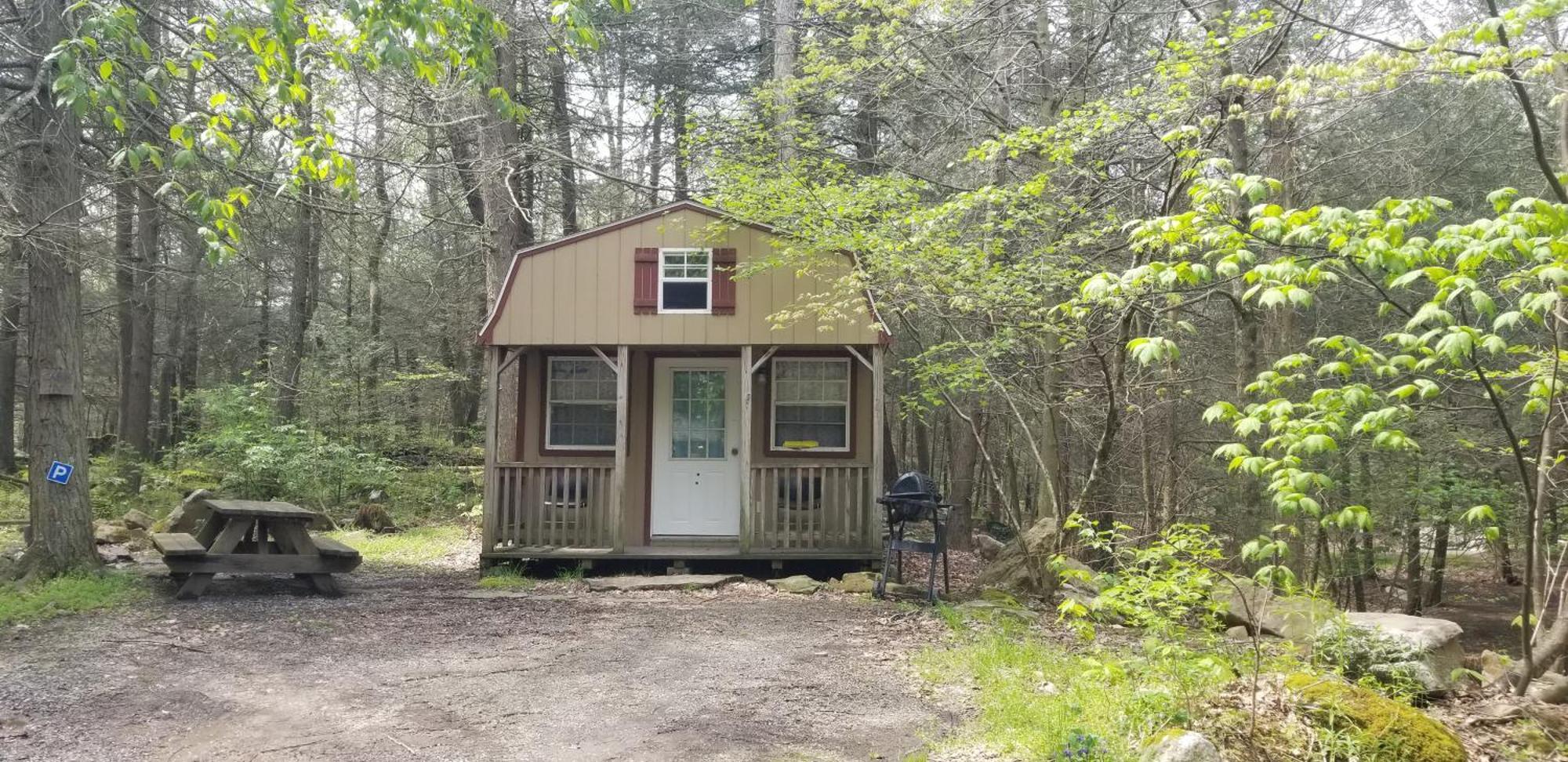 Abrams Creek Campground Mount Storm Bagian luar foto