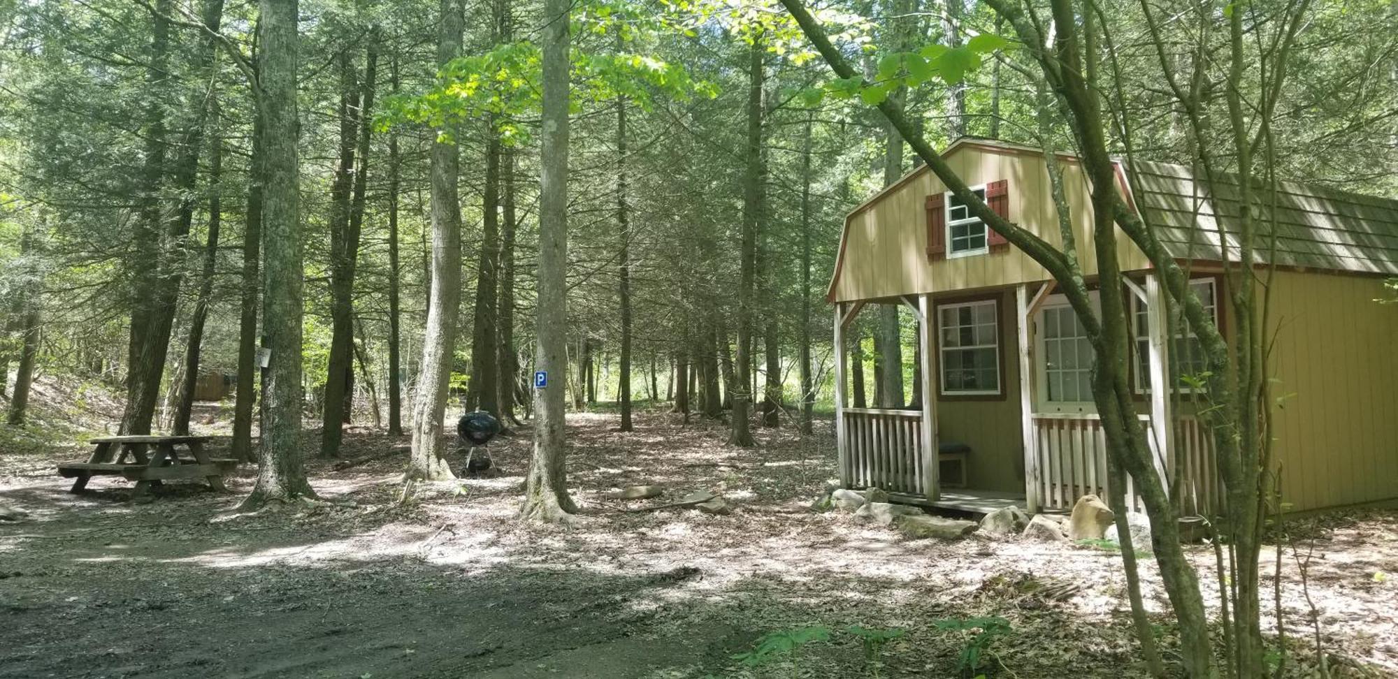 Abrams Creek Campground Mount Storm Bagian luar foto