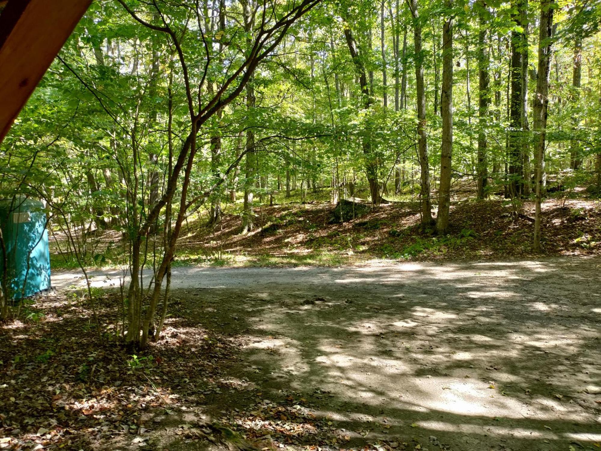 Abrams Creek Campground Mount Storm Bagian luar foto