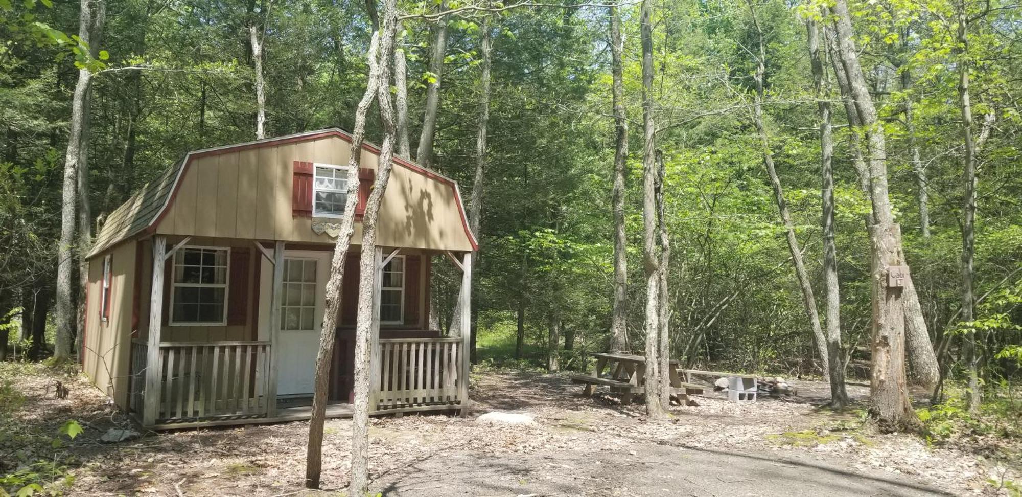 Abrams Creek Campground Mount Storm Bagian luar foto