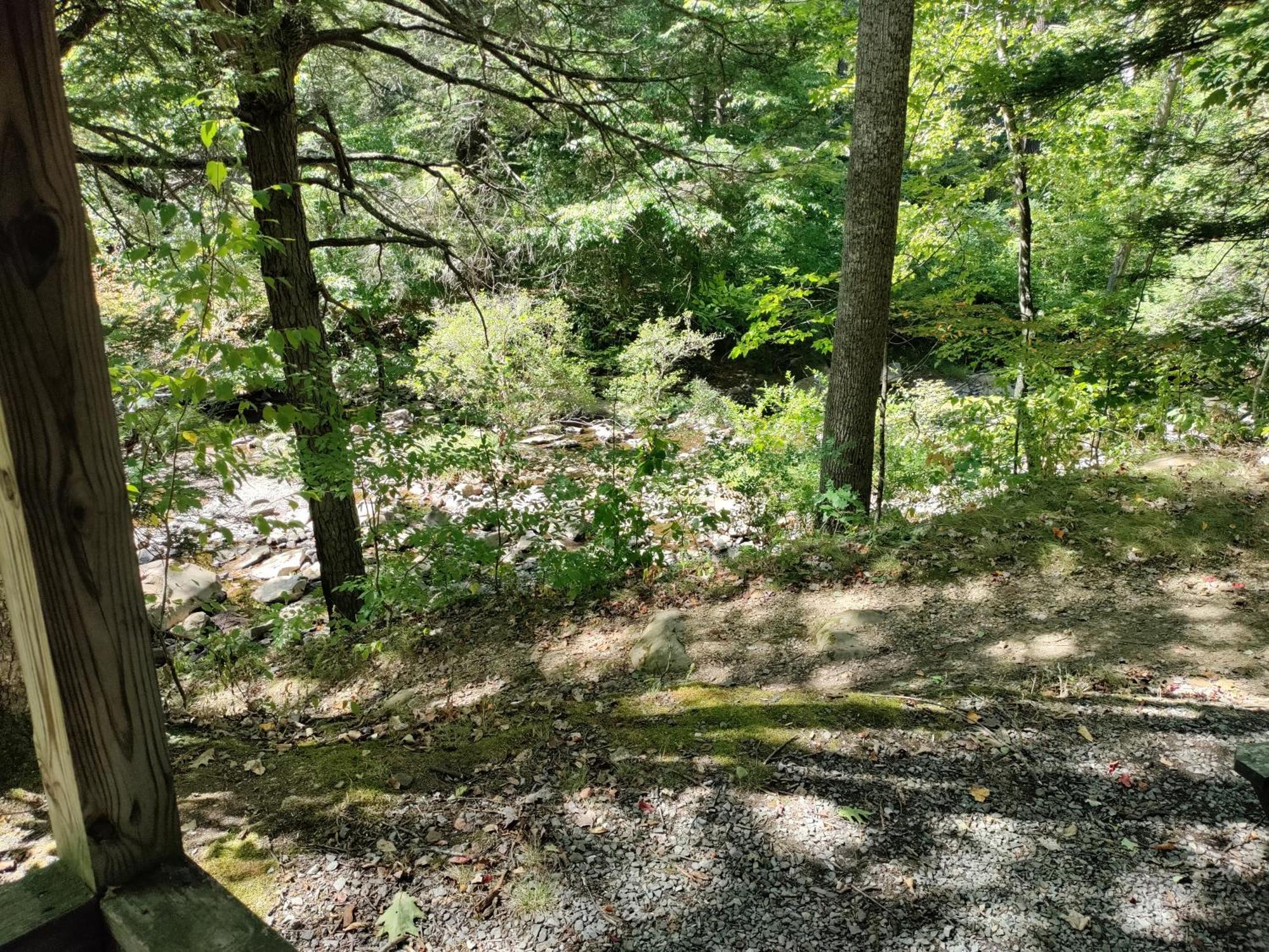 Abrams Creek Campground Mount Storm Bagian luar foto