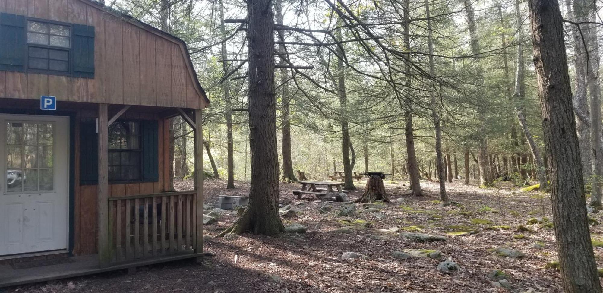 Abrams Creek Campground Mount Storm Bagian luar foto