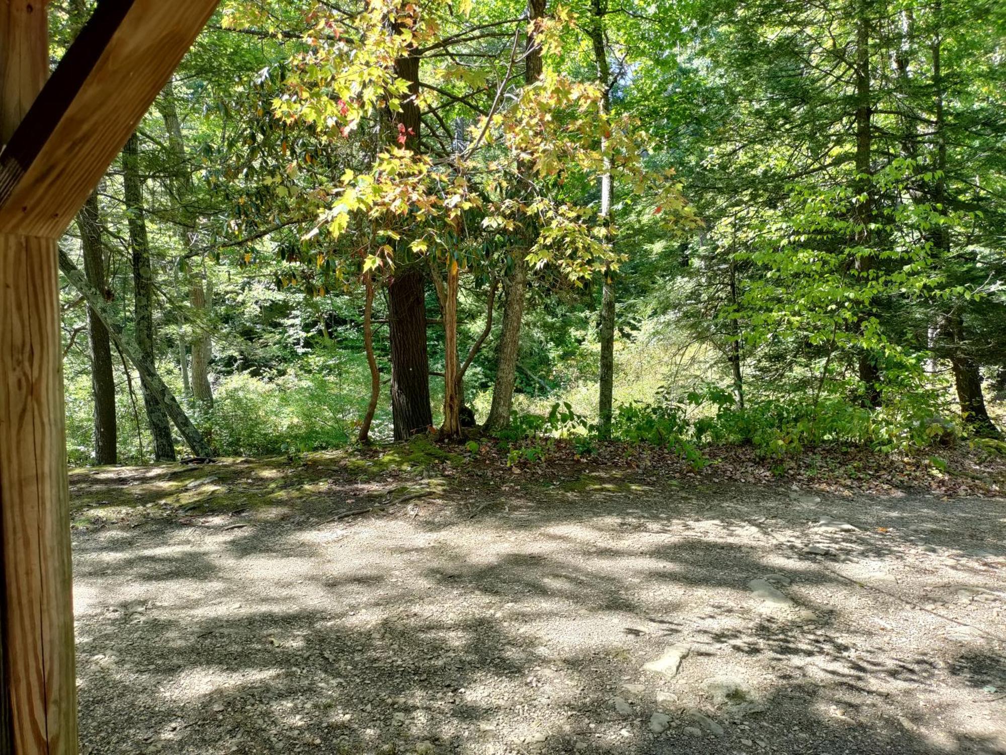 Abrams Creek Campground Mount Storm Bagian luar foto