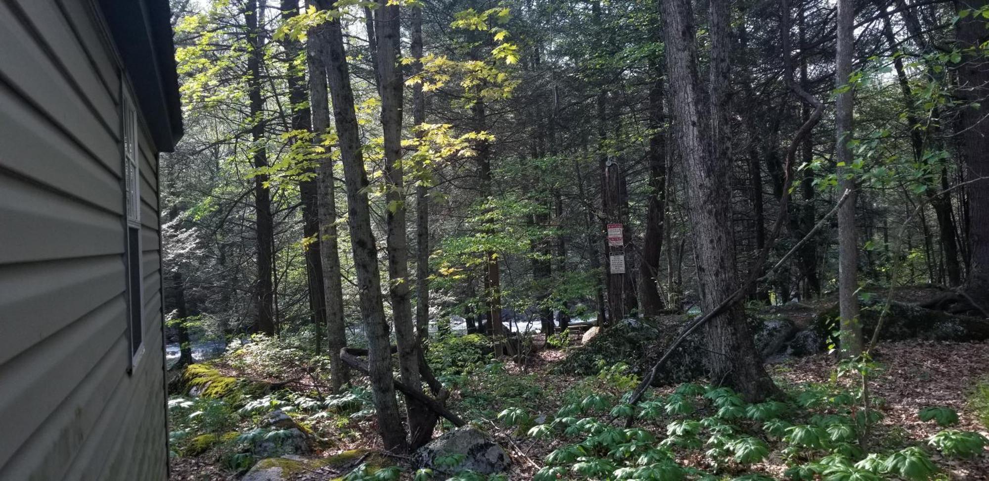 Abrams Creek Campground Mount Storm Bagian luar foto