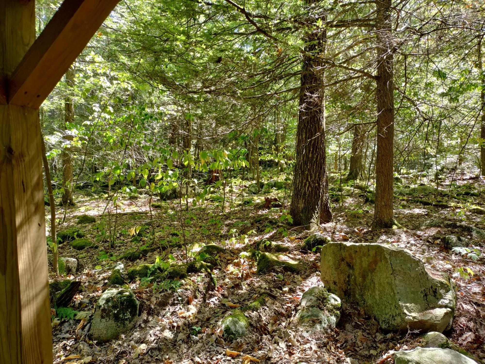 Abrams Creek Campground Mount Storm Bagian luar foto