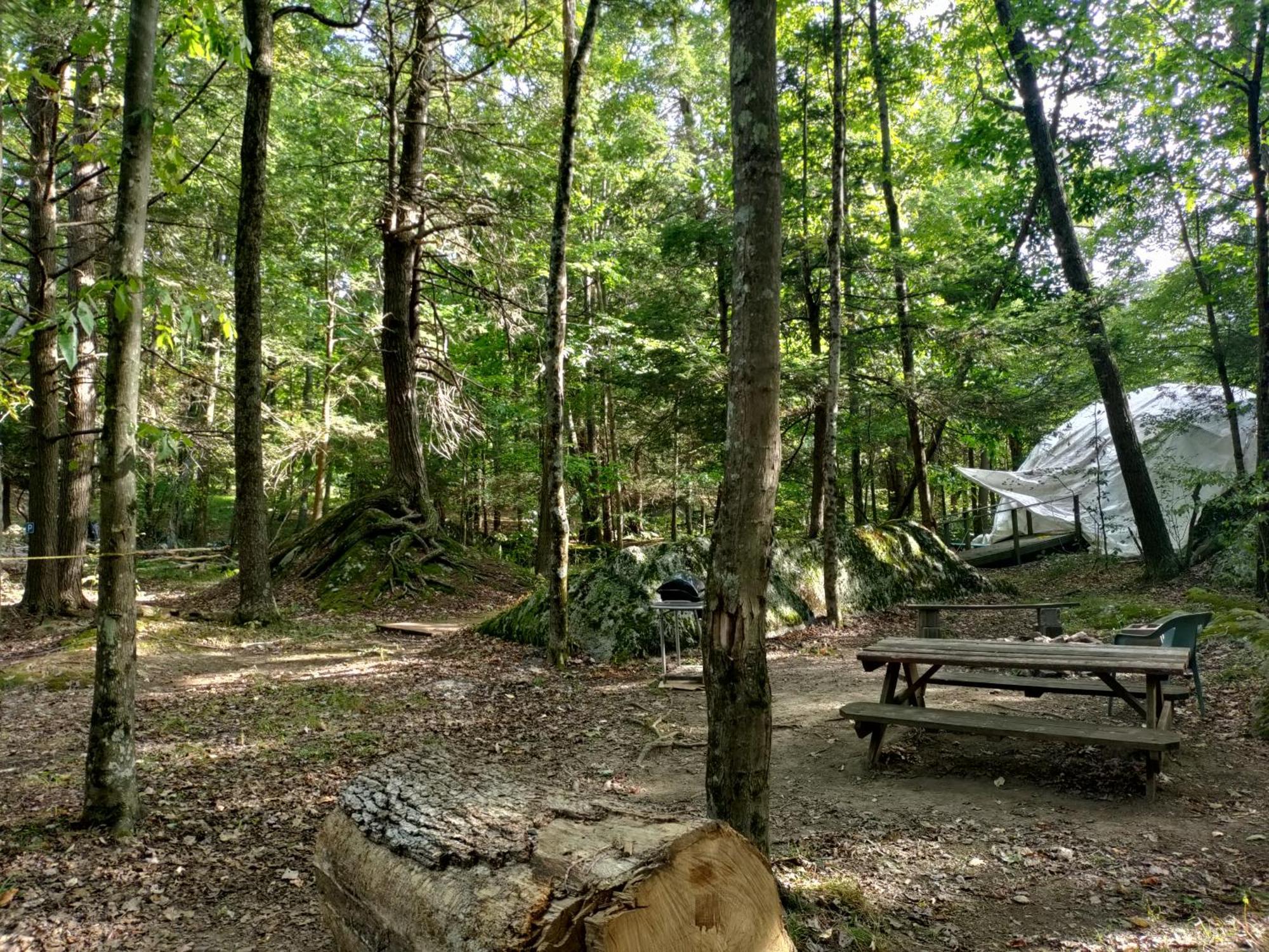 Abrams Creek Campground Mount Storm Bagian luar foto