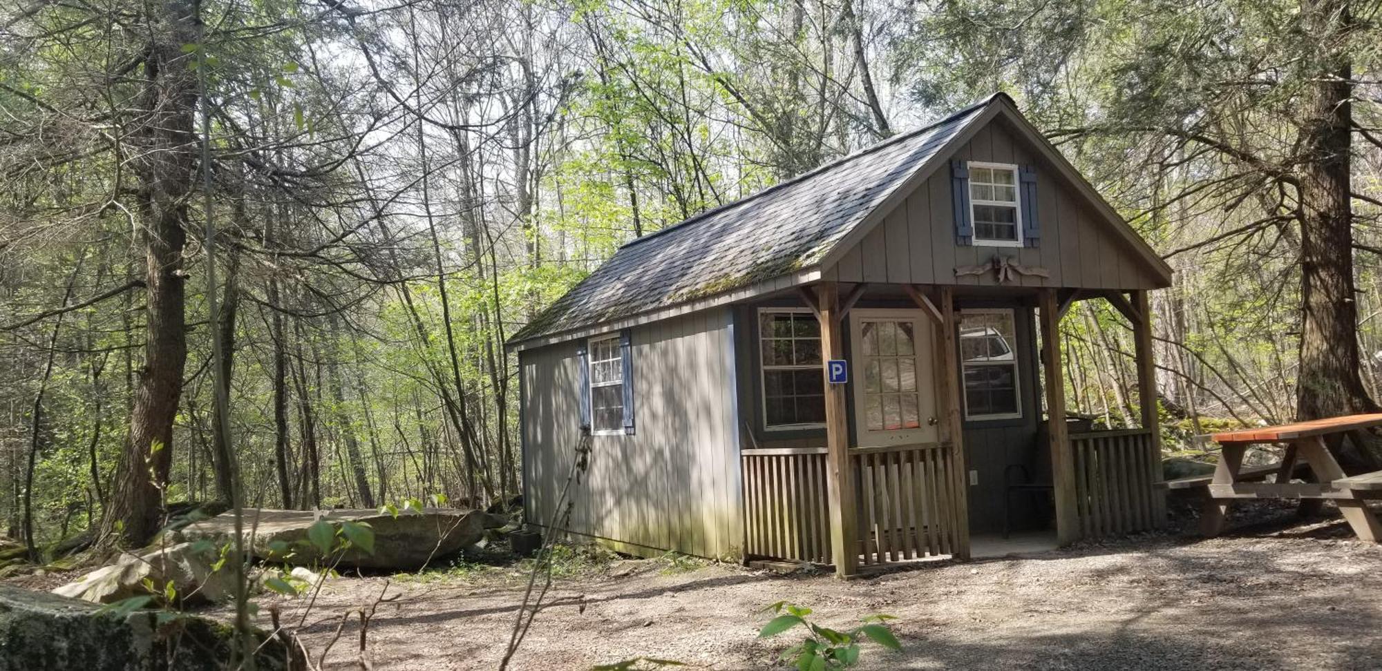 Abrams Creek Campground Mount Storm Bagian luar foto