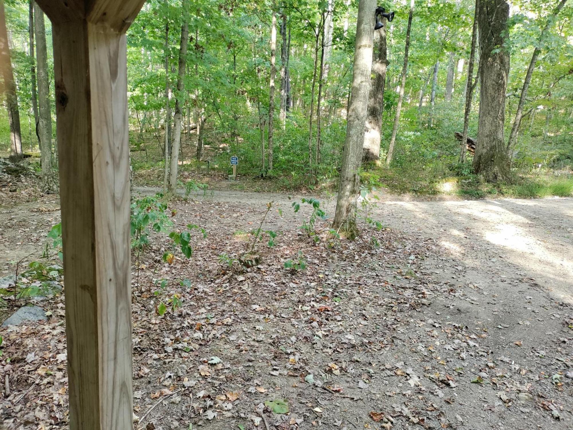 Abrams Creek Campground Mount Storm Bagian luar foto