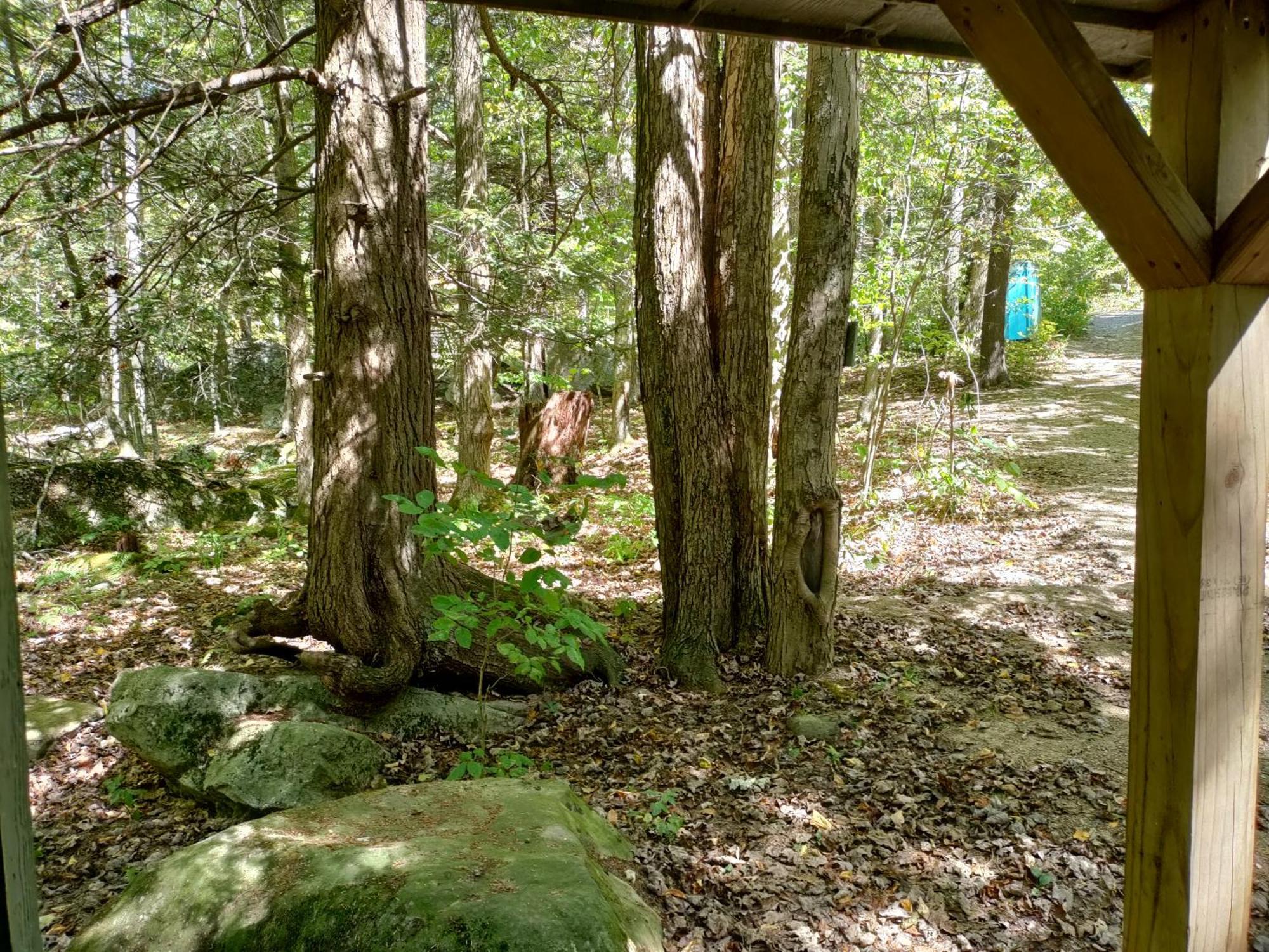 Abrams Creek Campground Mount Storm Bagian luar foto